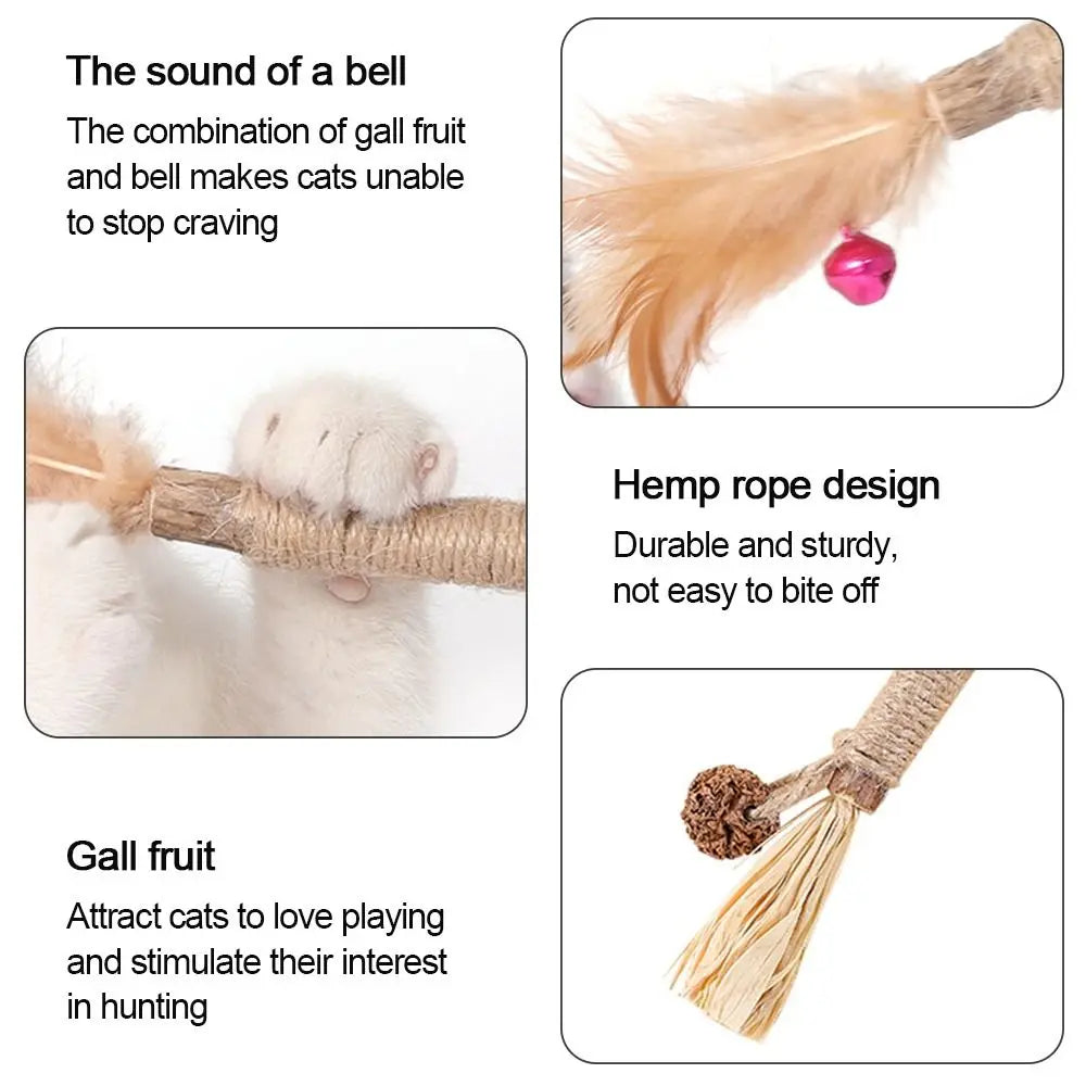 Cat  Silvervine Cat Nip Chew  Chew  Cat Wall  Silvervine Sticks Catnip  Wellness Cat Food Cat Chew Sticks