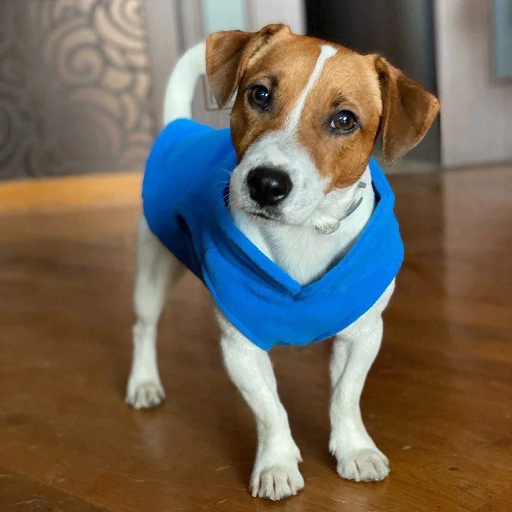 Warm fleece dog jacket by I YAN with D-ring for small dogs and cats, featuring a French Bulldog and Chihuahua costume design.