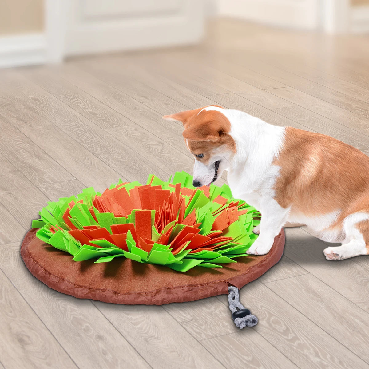 All-season Dog Sniffing Mat, Retractable Packaging, Helps Train the Sense Of Smell.