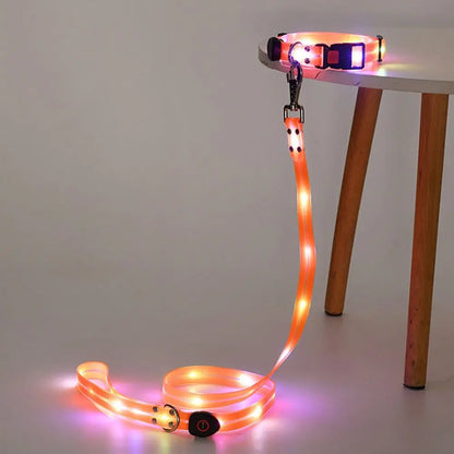 Rechargeable LED dog collar and leash set by I YAN with glow-in-the-dark safety features, shown on a dog for nighttime visibility.