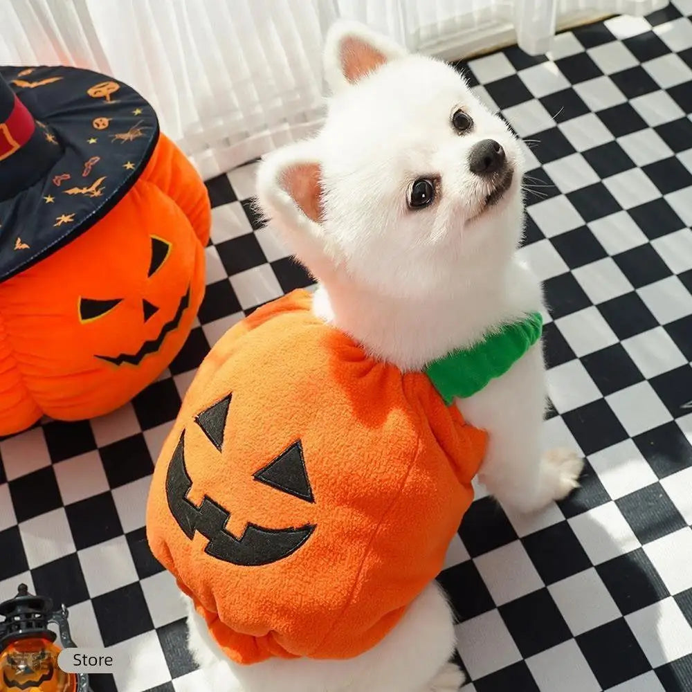 Halloween Dog Costume Pumpkin Light Clothing Teddy Bichon Small Dog Transformation Suit Pet Apparel Functional Winter Wear