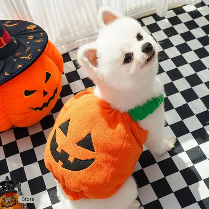 Halloween Dog Costume Pumpkin Light Clothing Teddy Bichon Small Dog Transformation Suit Pet Apparel Functional Winter Wear