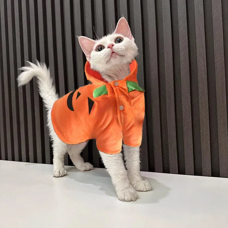 Pet Clothing, Pumpkin, Funny Clothing,  Cute Halloween Clothing, Dog Clothing