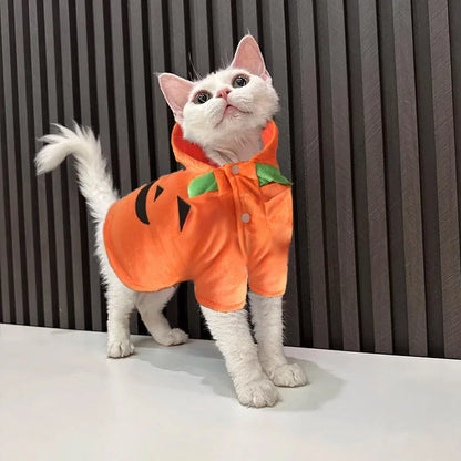 Pet Clothing, Pumpkin, Funny Clothing,  Cute Halloween Clothing, Dog Clothing