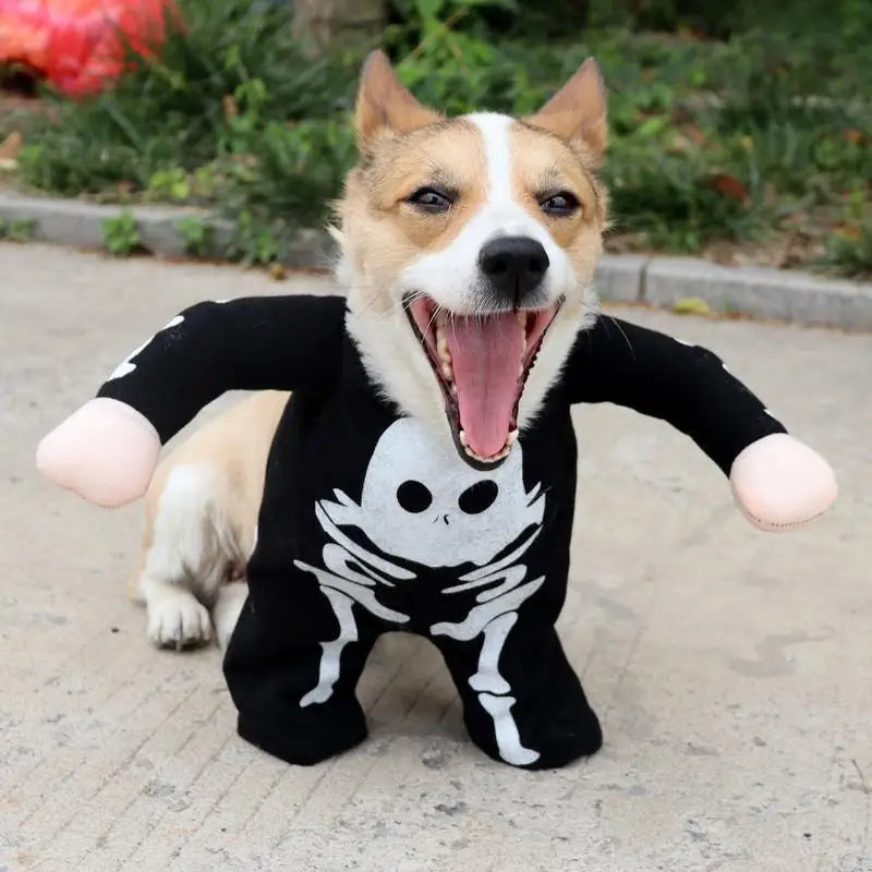 Glow-in-the-Dark Dog Skeleton Halloween Costume – Funny Pet Outfit