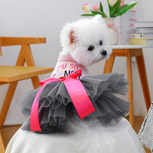 Cute dog wearing I YAN fancy bowtie pet dress, spring summer one-piece apparel for small dogs and puppies, formal and stylish.