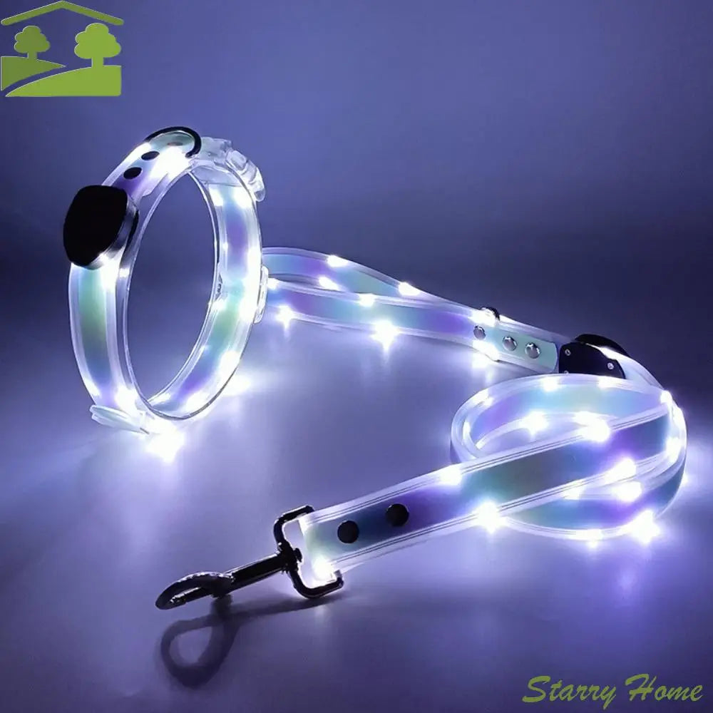 Rechargeable LED dog collar and leash set from I YAN with glow-in-the-dark safety features, illuminated for nighttime visibility.