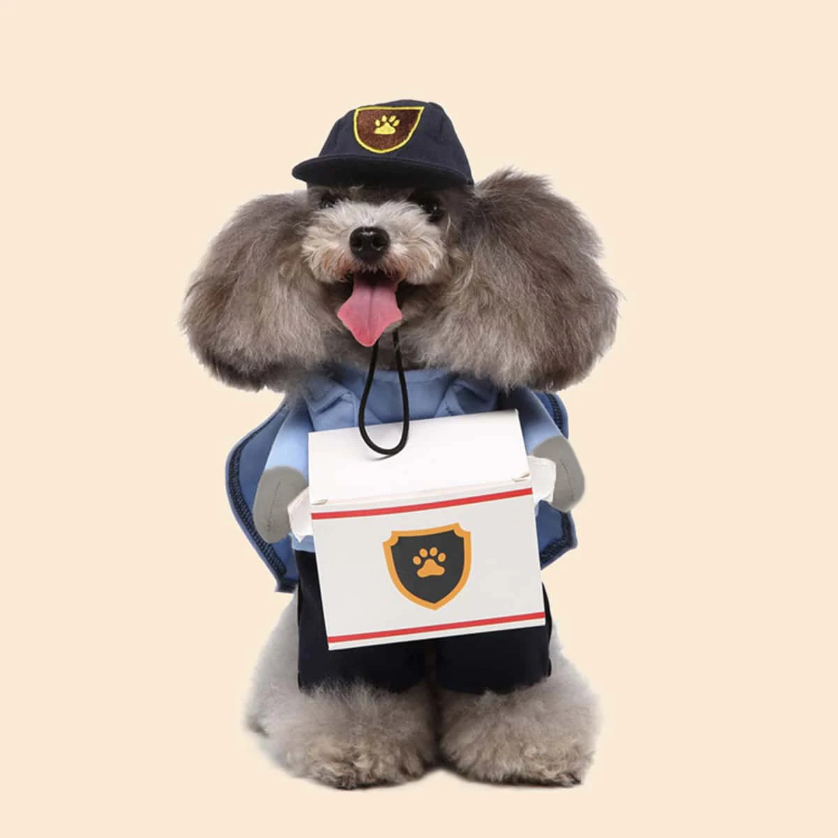Cute I YAN pet dog transformation costume for small dogs, seasonal universal dog clothing, fashionable and adorable for little pups.