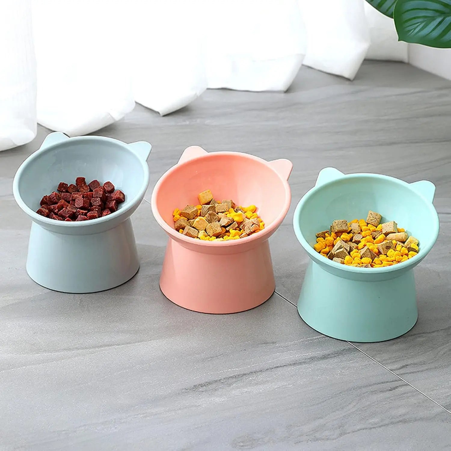 Tilted Whisker-Friendly Cat Bowl – Anti-Vomit, Shallow & Cute (Green)