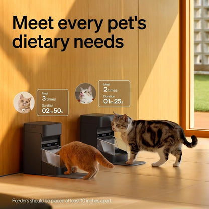 WiFi RFID Smart Pet Feeder – Collar Sensor & Cat Recognition Anti-Theft