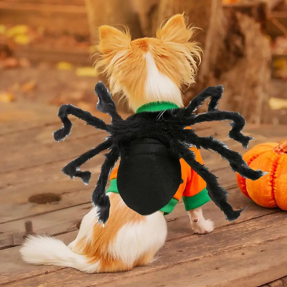 Halloween Spider Costume for Dogs & Cats – Spooky Pet Outfit