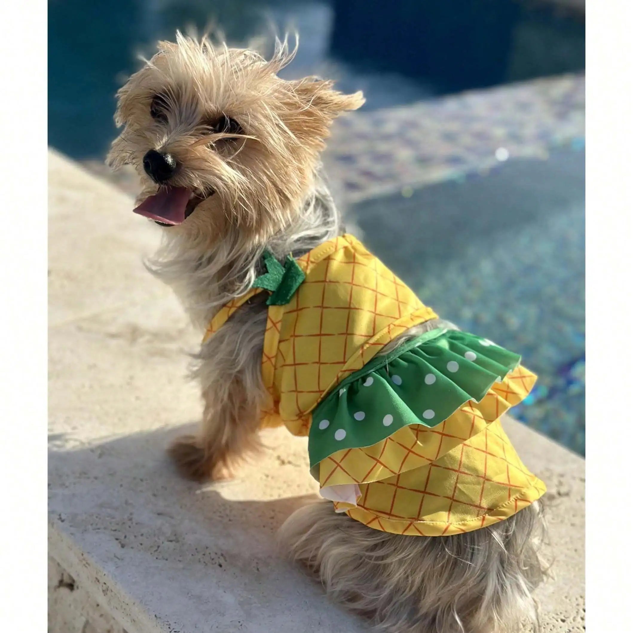 Pineapple Funny Dog Swimwear Bikini Summer Dog Clothes Beach Swimsuit Puppy Bathing Suit Puppy Vest Cooling Dog Shirts Pet Shirt For Small Dog, Cat Apparel