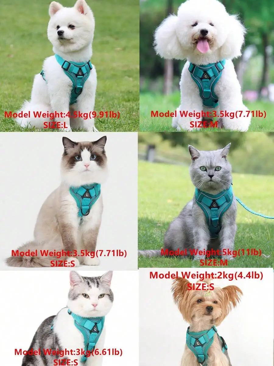 Reflective I YAN pet harness and leash set for dogs and cats, adjustable small dog chest strap with soft mesh for comfort.