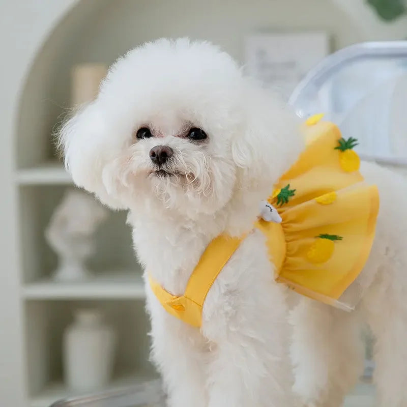 Cute mesh dog princess dress with lace and bow, suitable for small dogs like Poodles and Chihuahuas, summer pet clothing by I YAN.