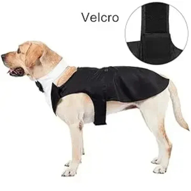 Cotton Large Dog Costume Detachable Two Pieces Dog Wedding Costume Black Dog Clothes Suit Dress Autumn Large Breeds Pet Products
