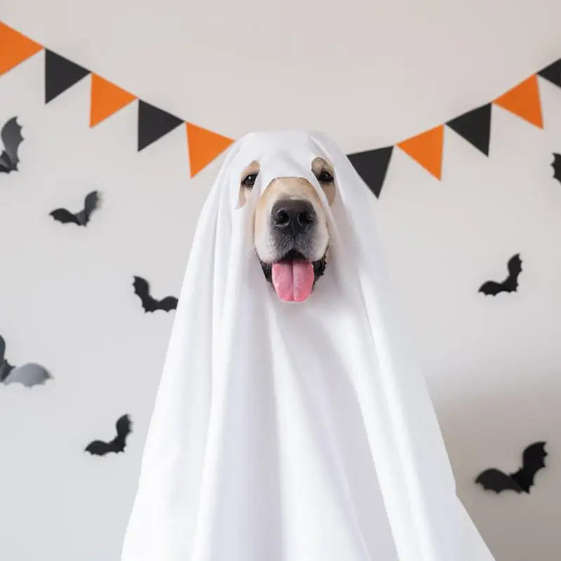 Halloween Ghost Dog Costume – Spooky Pet Cloak for Dogs