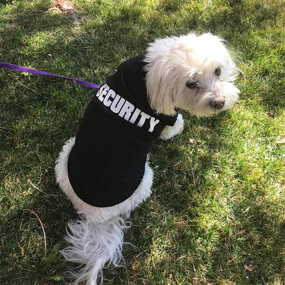 Dog security summer vest by I YAN for small dogs, featuring lightweight pet clothing T-shirt costume for Chihuahua and Yorkshire puppies.