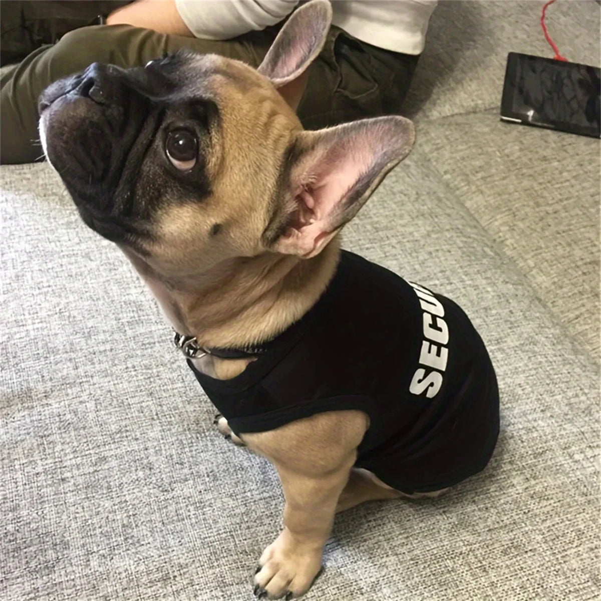 I YAN dog security clothing vest for small dogs, Chihuahua, Yorkshire, summer pet T-shirt costume with lightweight fabric.