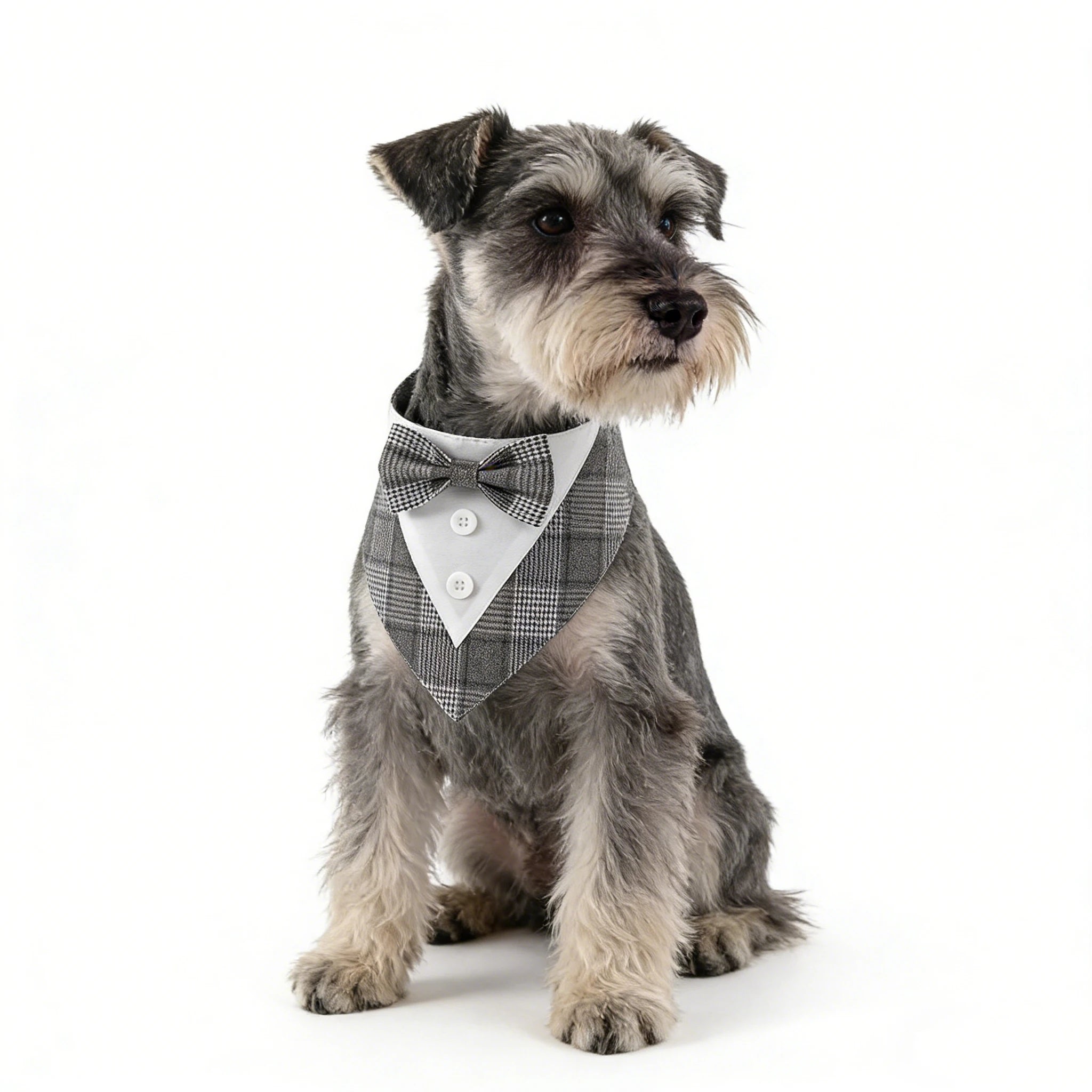 Sucado Pet Bandana Wedding  Dog Collar Triangle Scarf Bow Tie Party