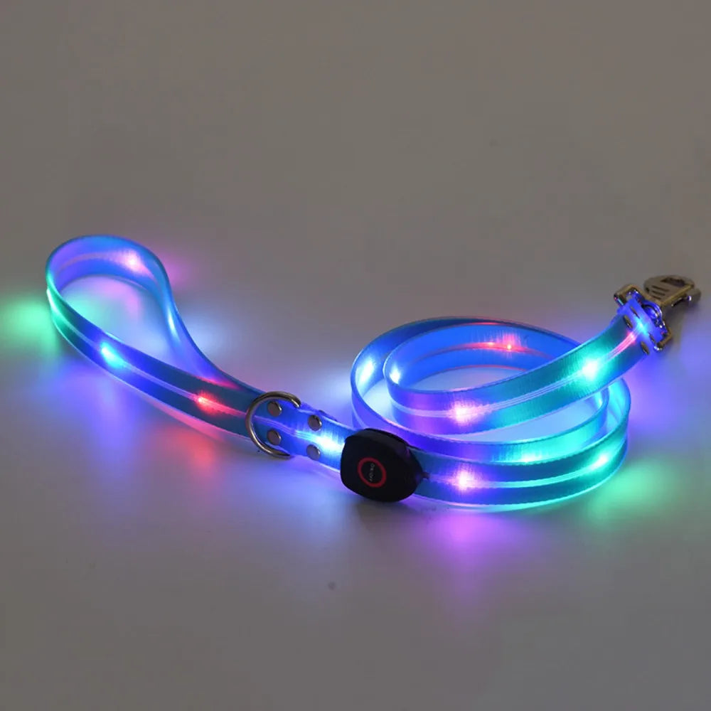 Rechargeable LED dog collar and leash set with glow-in-the-dark safety features from I YAN, shown with illuminated components.