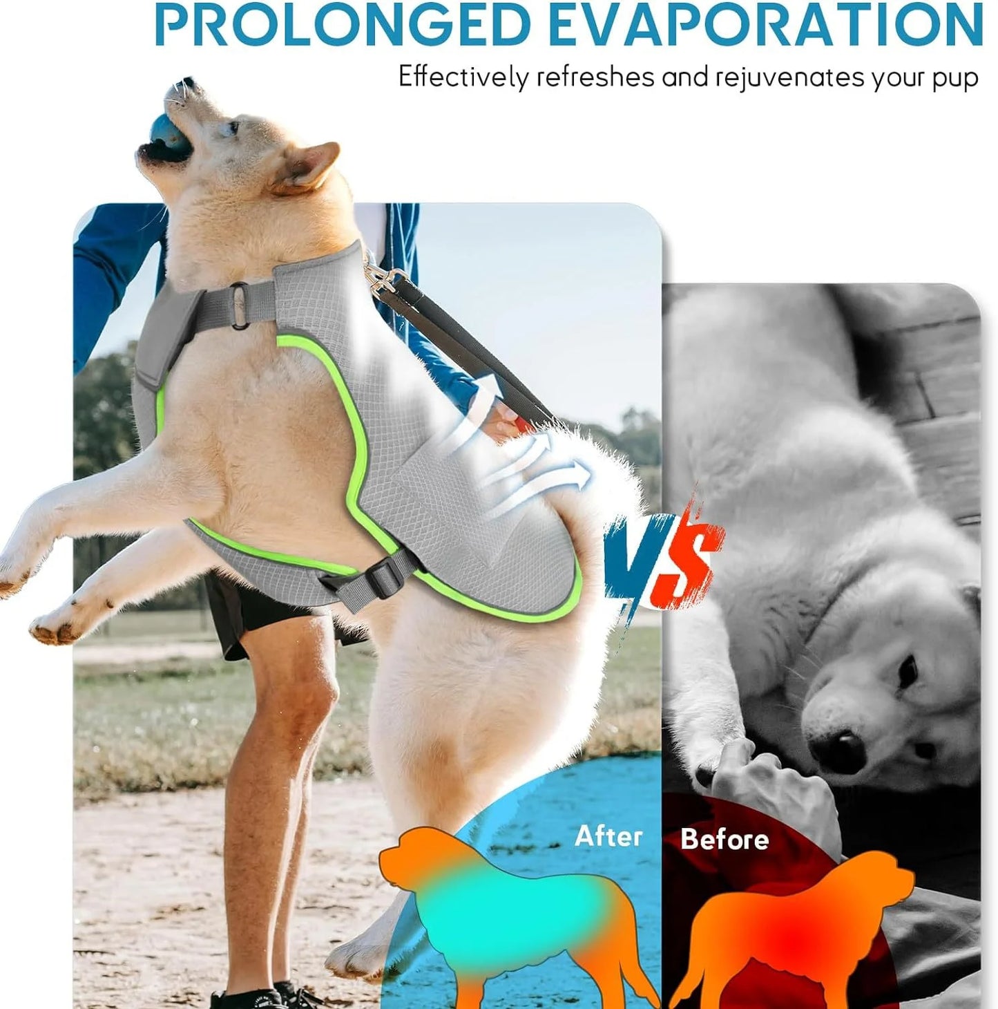 I YAN dog cooling vest with two gel ice packs, featuring evaporative and ice pack cooling for small to large dogs.