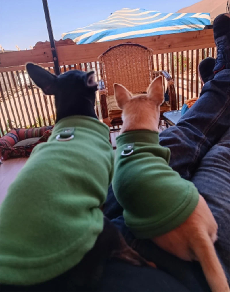 I YAN warm fleece dog jacket vest with D-ring for small dogs and cats, featuring French Bulldog and Chihuahua costume design.