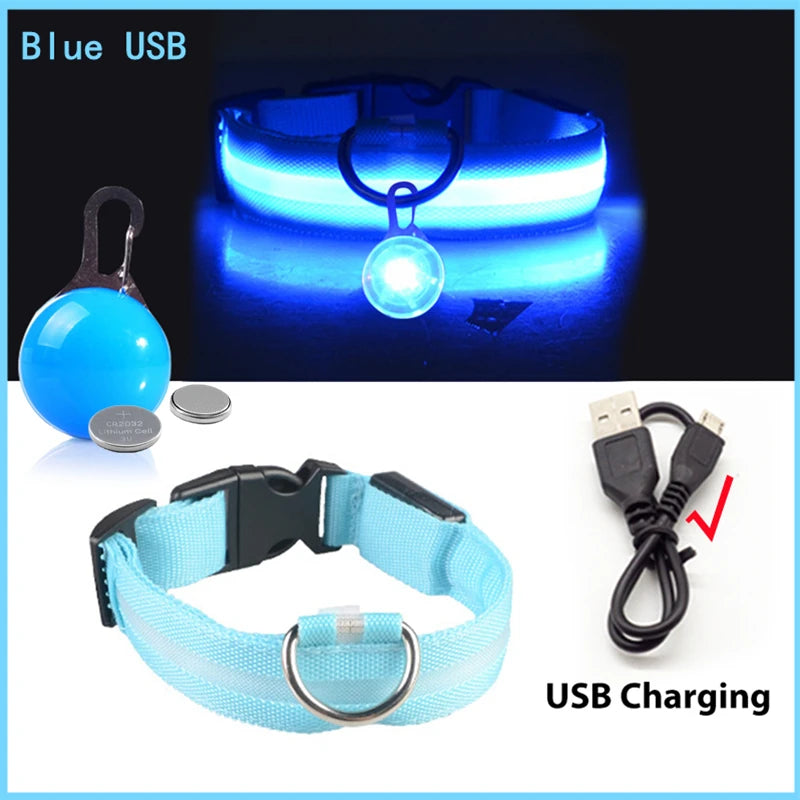 USB rechargeable LED glowing dog collar by I YAN with bright safety light for small dogs and cats, visible in the image.