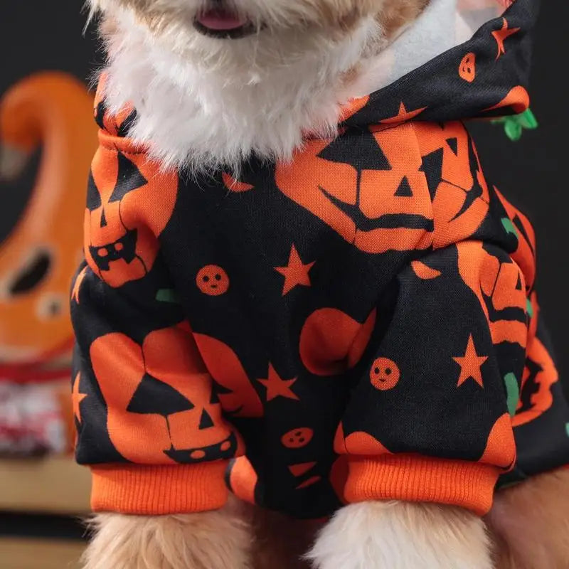 Pumpkin Halloween Costume for Dogs & Cats – Cute Festive Pet Outfit