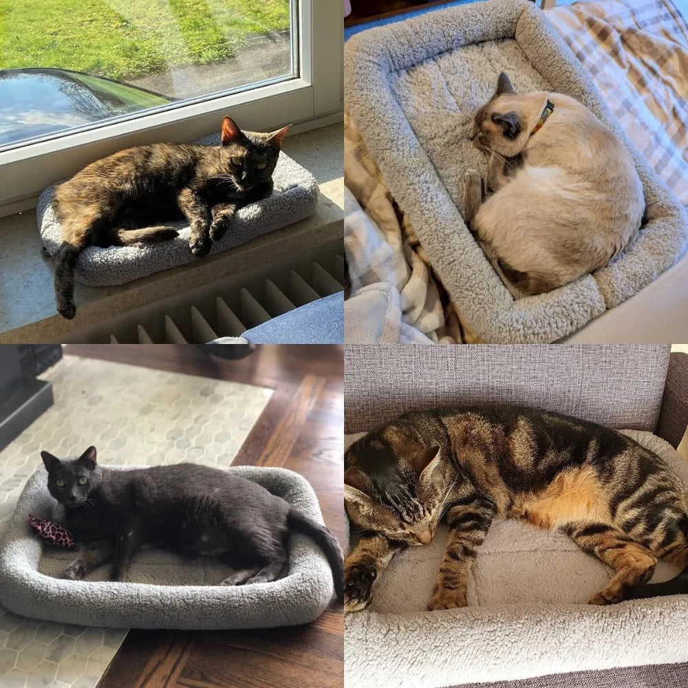 Soft Cat Bed with Raised Rim, 15x10 inch, Machine Washable, Non-Slip Bottom, for Small Pets