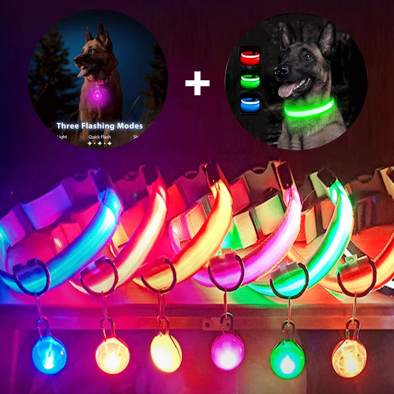 LED glowing dog collar by I YAN, USB rechargeable safety light for small dogs and cats, visible at night.