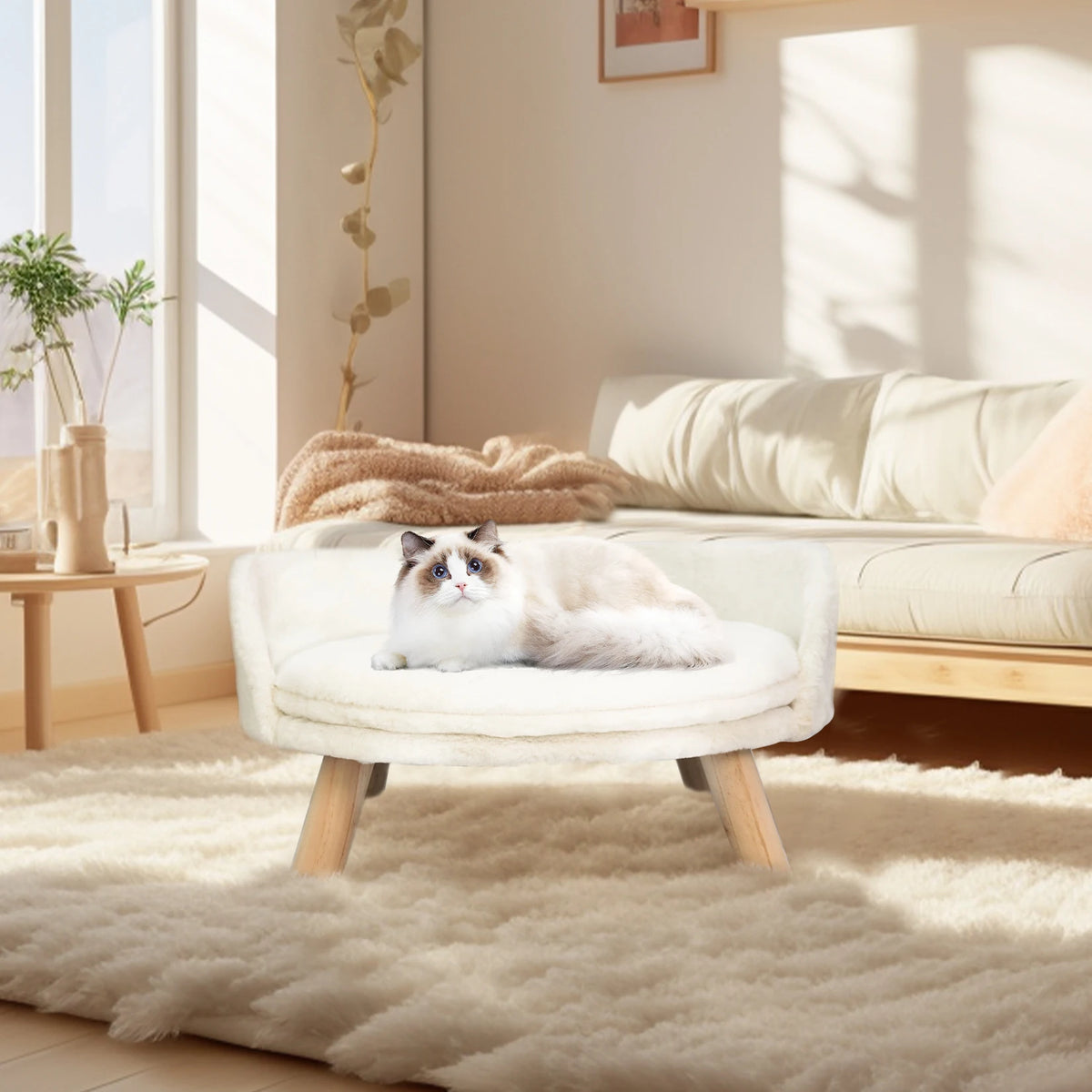 Small pet sofa bed by I YAN featuring a raised cat chair and dog couch with removable cushion for cozy sleep.