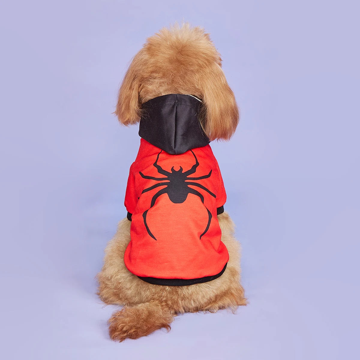 Pet Dog Cat Halloween Hoodies Scary Spider Shirt Dog Sweatshirts Apparel Comfortable Pet Turtleneck Puppy for Halloween  Holiday