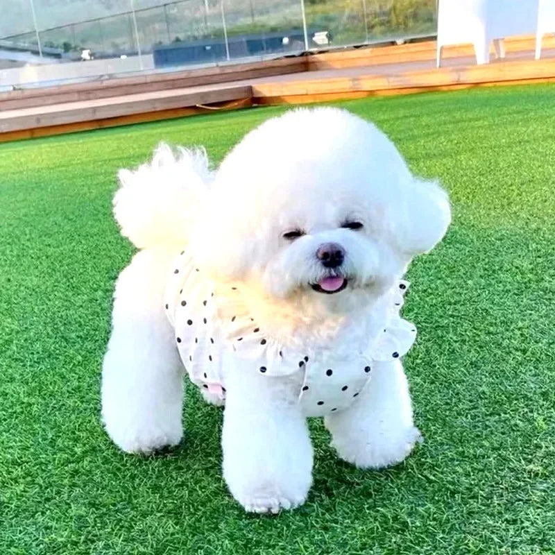 Cute Polka Dot Dog Dress – Summer Skirt for Small Dogs & Cats