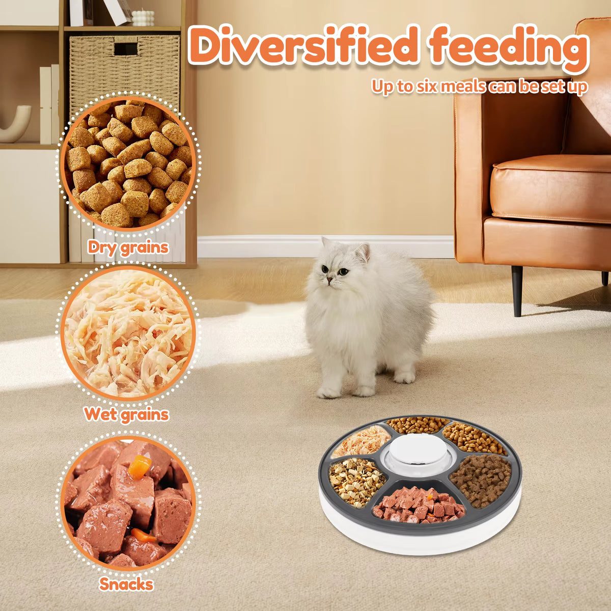 6-Meal Automatic Pet Feeder with Voice Recorder & Digital Timer Dry Wet Food Compatible for Dogs Cats