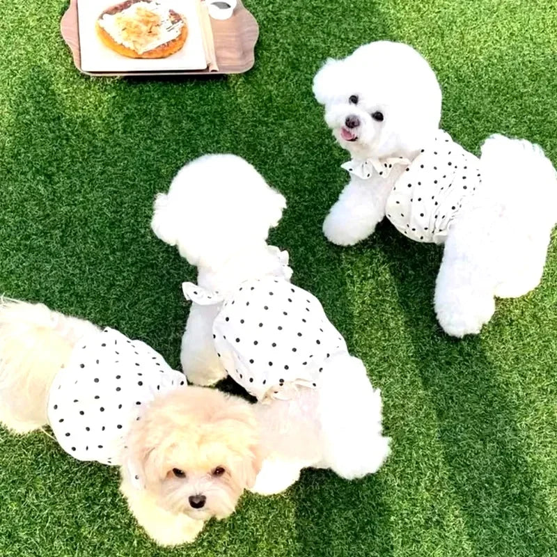 Cute Polka Dot Dog Dress – Summer Skirt for Small Dogs & Cats