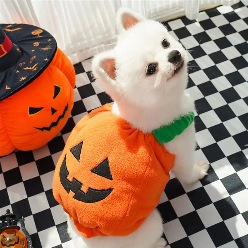 Halloween Dog Costume Pumpkin Light Clothing Teddy Bichon Small Dog Transformation Suit Pet Apparel Functional Winter Wear