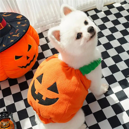 Halloween Dog Costume Pumpkin Light Clothing Teddy Bichon Small Dog Transformation Suit Pet Apparel Functional Winter Wear
