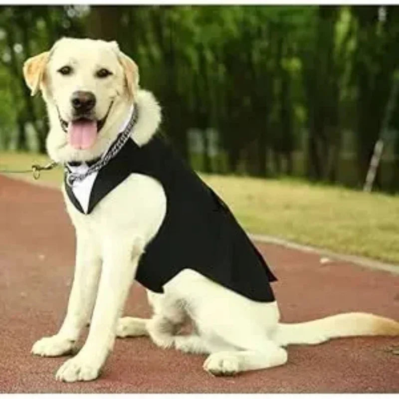 Cotton Large Dog Costume Detachable Two Pieces Dog Wedding Costume Black Dog Clothes Suit Dress Autumn Large Breeds Pet Products