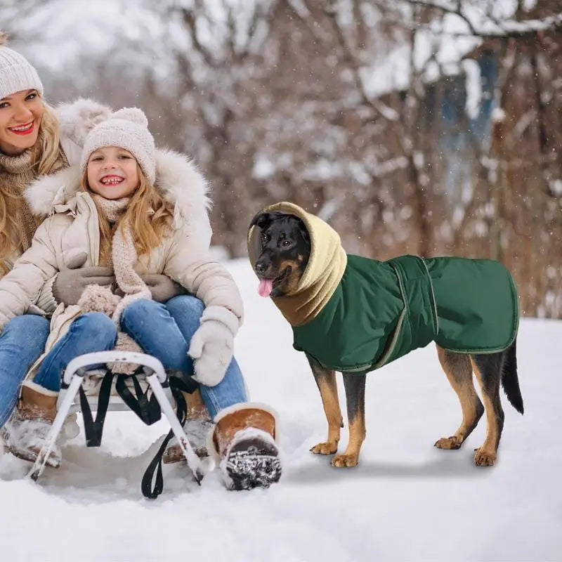 I YAN waterproof dog turtleneck sweater with thick thermal fabric, designed for cold weather and featuring a cozy, snug fit.