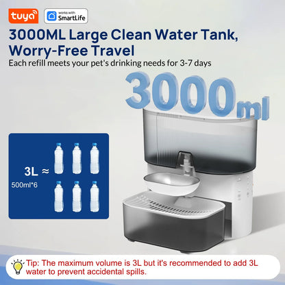 3LSmart Timed Water Dispenser for Cats & Small Dogs, Automatic Pet Fountain, Wastewater Separation Fresh Water, No Filter No APP
