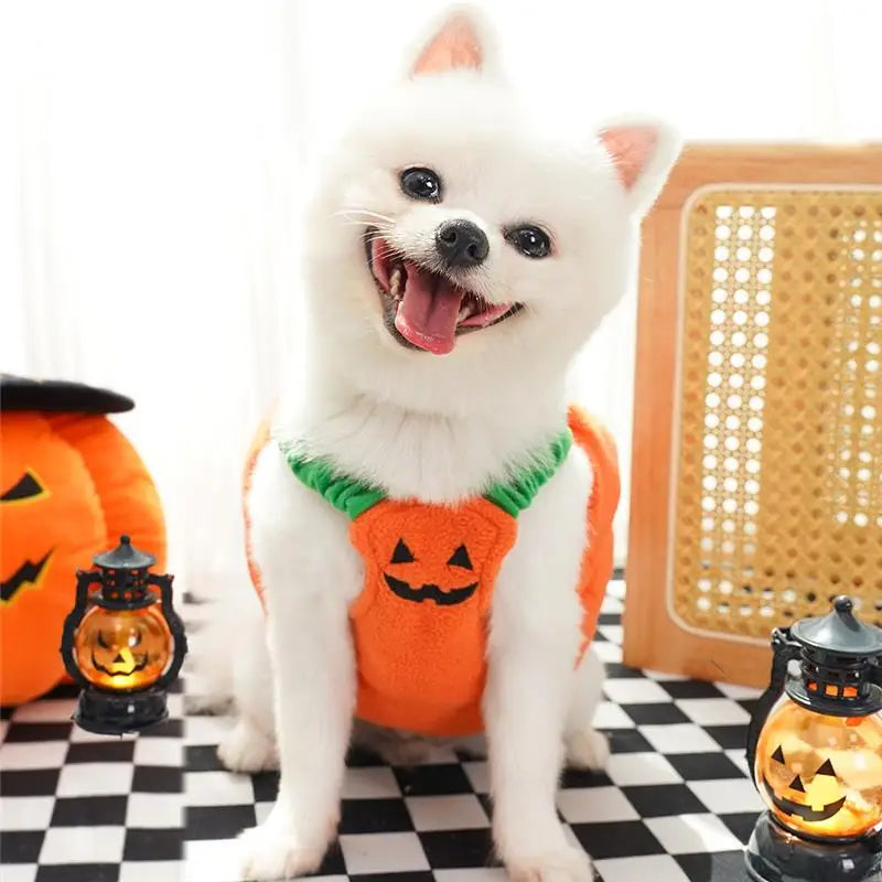 Halloween Dog Costume Pumpkin Light Clothing Teddy Bichon Small Dog Transformation Suit Pet Apparel Functional Winter Wear