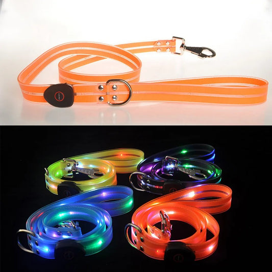 LED light-up dog leash by I YAN, USB rechargeable glowing PVC leash for safe night walking with bright illumination.