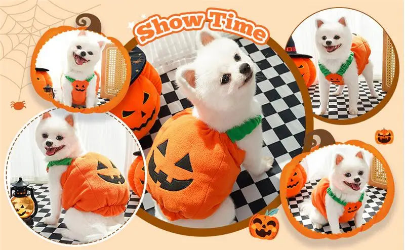 Halloween Dog Costume Pumpkin Light Clothing Teddy Bichon Small Dog Transformation Suit Pet Apparel Functional Winter Wear