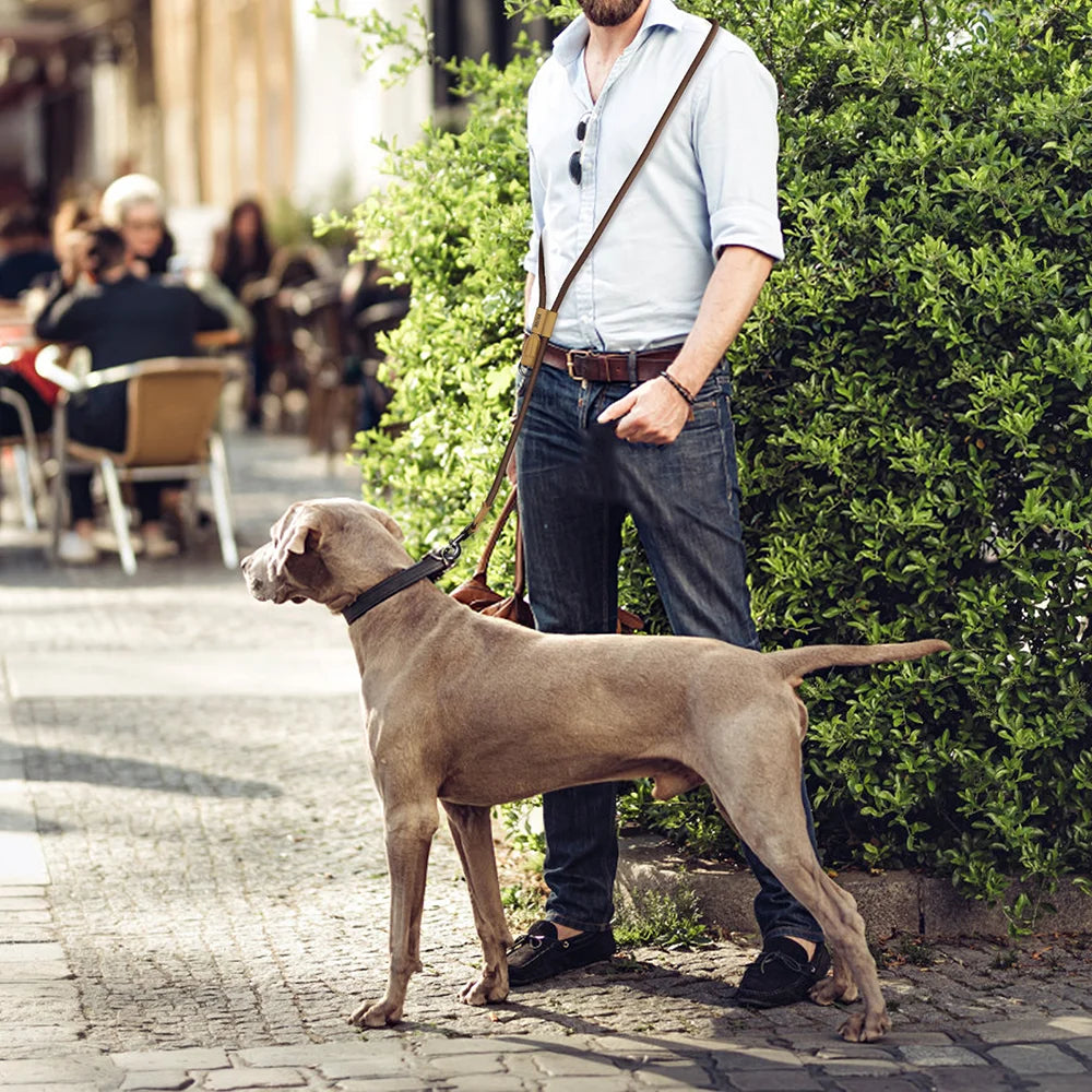 1.8M Large Dog Leash Waist Chain Traction For Running Walking Adjustment Simplicity Hands Free Dog Leash Leashes