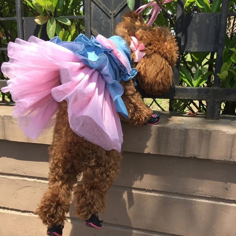 I YAN denim Sphynx cat dress with skirt, summer pet costume for girls, featuring playful Garfield design for cats and small dogs.