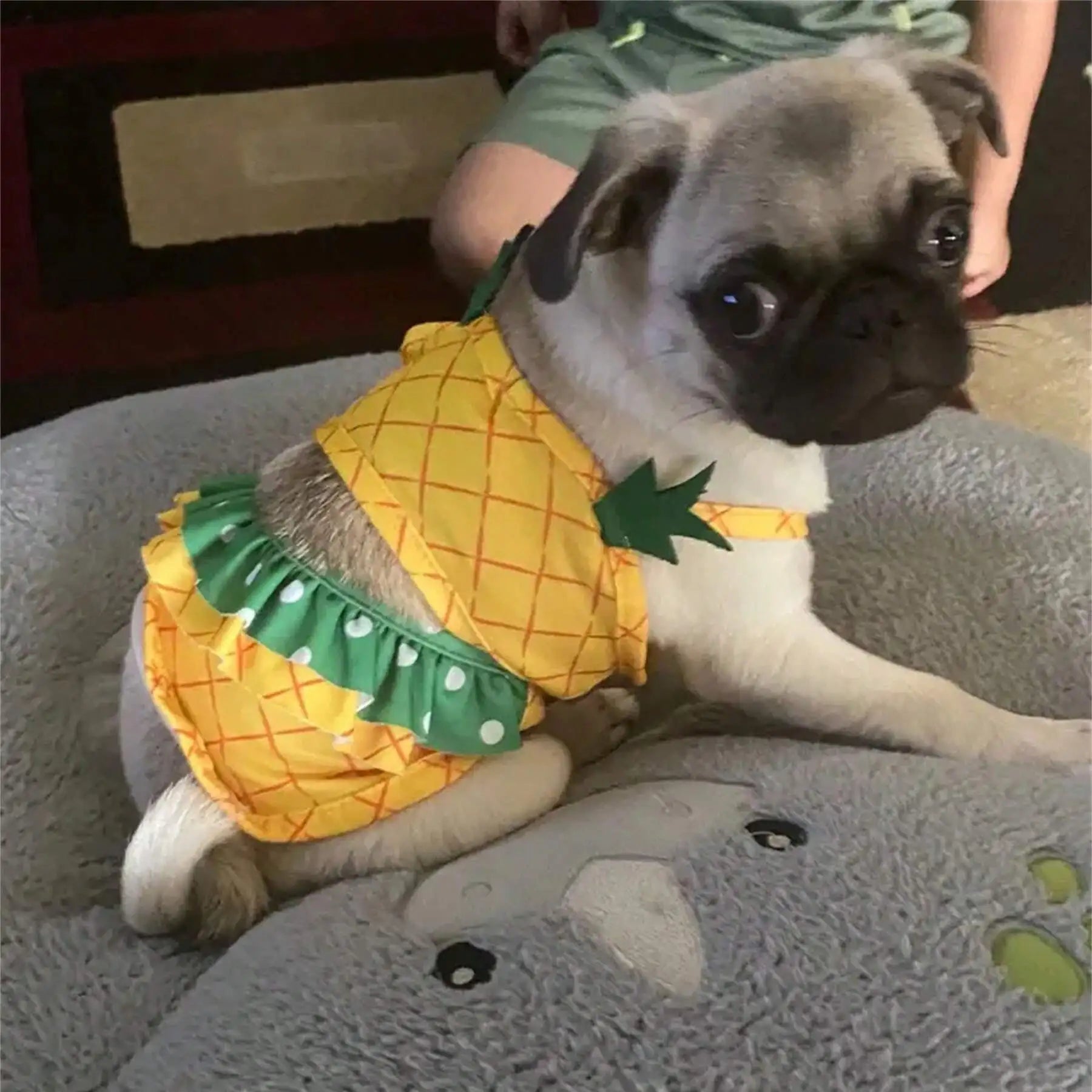 Pineapple Funny Dog Swimwear Bikini Summer Dog Clothes Beach Swimsuit Puppy Bathing Suit Puppy Vest Cooling Dog Shirts Pet Shirt For Small Dog, Cat Apparel