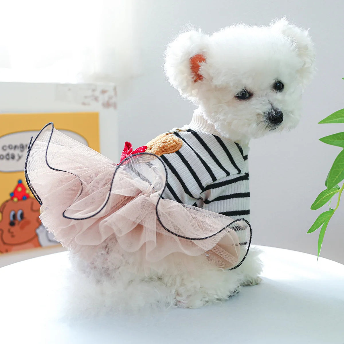 Small dog girl winter princess dress with stripe sweater, tutu skirt, bear bowknot, pet costume, perfect for dog parties.