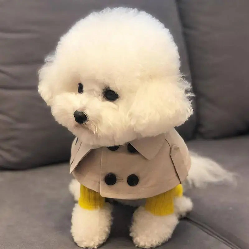 Fashion British style dog cloak windbreaker for small dogs, featuring a trench cape for Corgis and French Bulldogs by I YAN.
