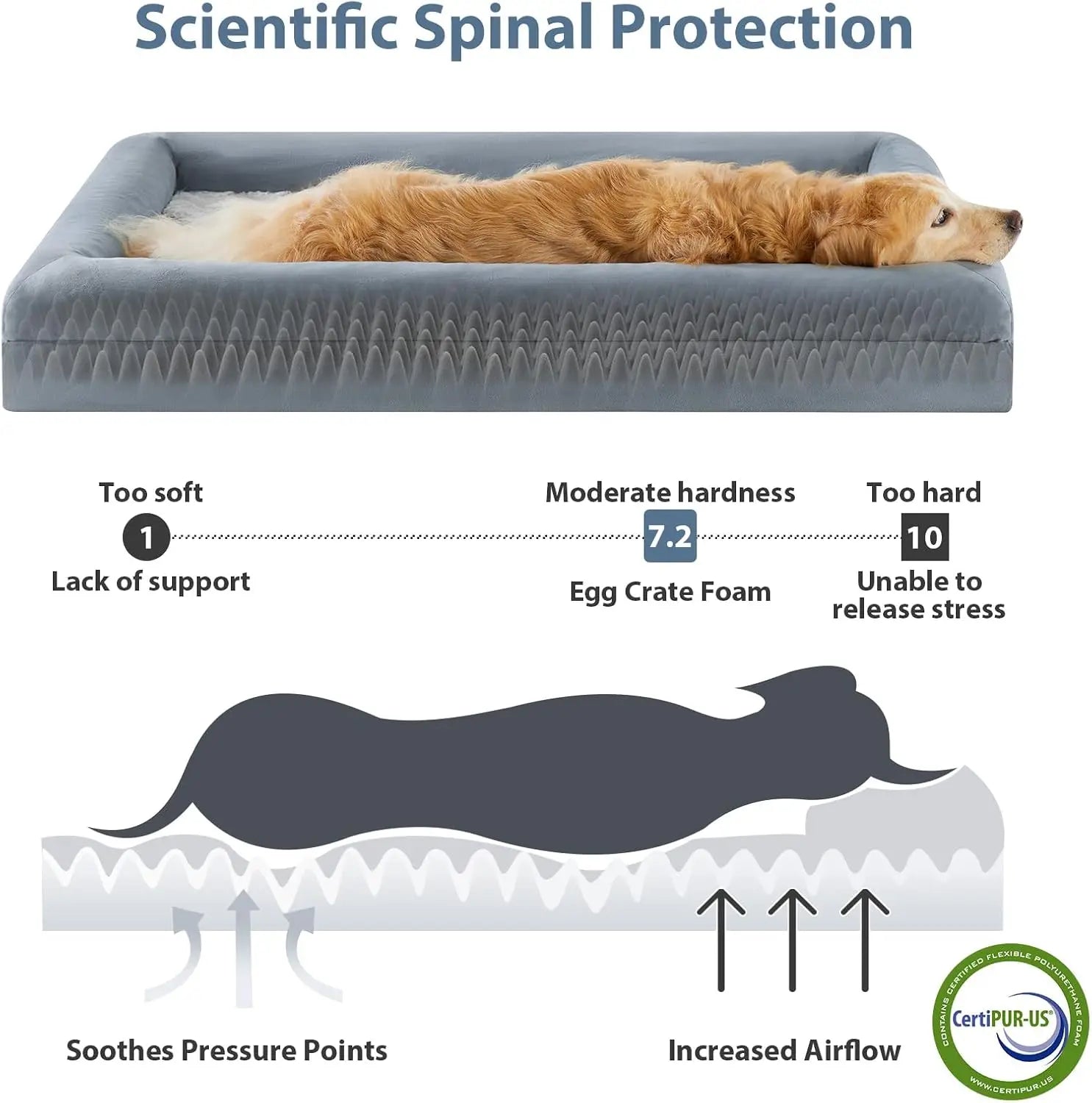 XL Extra Large Dog Bed, Washable Couch with Waterproof Cover, Orthopedic Pet Sofa with Bolster Sides for Sleeping