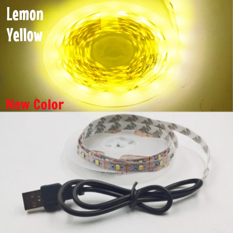 5M USB LED Strip Light 5V 3528 1 Meter 5 Meter Warm Cool White Pink Green Blue Red SMD Ribbon Ceiling Cabinet Light waterproof